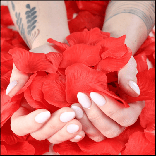 Romantic Red Rose Petals